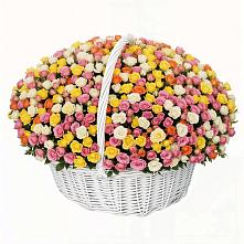 Премиум букет из: Розы в Стеблево