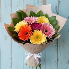 Букет цветов из:  Герберы в Стеблево