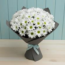 Букет цветов из:  Хризантемы в Стеблево