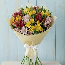 Букет цветов из:  Альстромерии в Стеблево