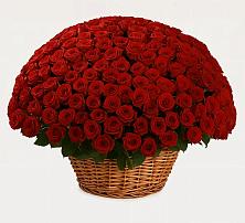 Премиум букет из: Розы в Стеблево